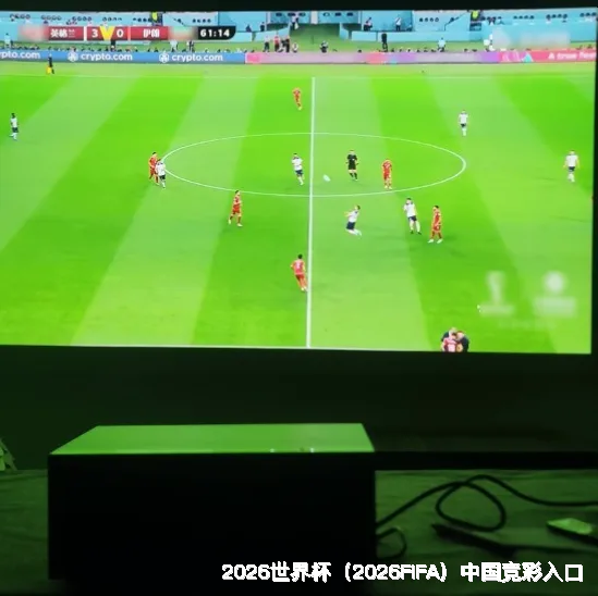 高效使用方法与注意事项